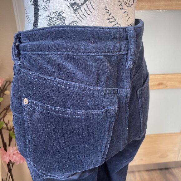 Anthropologie PILCRO Button Fly High-Rise Skinny Corduroy Pants Women's 28P Navy - Picture 6 of 9